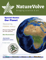 @enmagazine NatureVolve_I9_2022.pdf